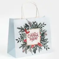 Пакет подарочный крафтовый &laquo;Рябина&raquo;, 25 х 22 х 12 см