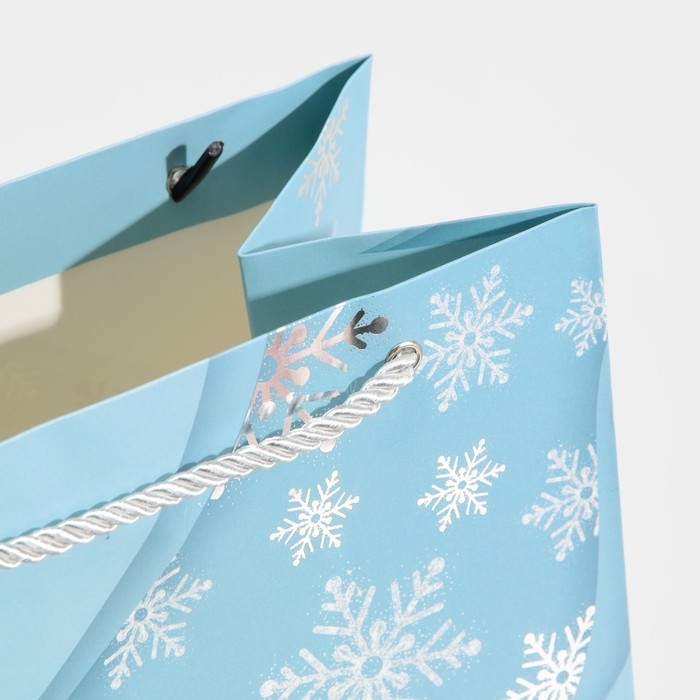 Пакет подарочный новогодний ламинированный &laquo;Лёд&raquo;, 21 х 30 х 15 см, Новый год