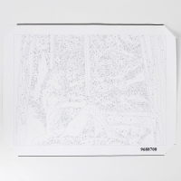 Картина по номерам в тубусе &laquo;С видом на звездную ночь&raquo;, 30 х 40 см