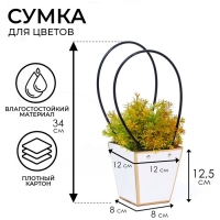 Сумка для цветов &laquo;Белая&raquo;, с тиснением, влагостойкая, 12 x 12 - 8 x 8 - 12,5 см
