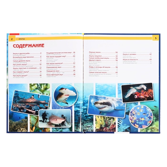 Энциклопедия с развивающими заданиями &laquo;Акулы&raquo;