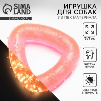 Игрушка для собак жевательная светящаяся в темноте &laquo;Треугольник&raquo;, 7 х 7 см