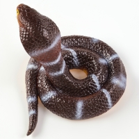 Новый год! Резиновая игрушка &laquo;Королевская кобра&raquo;