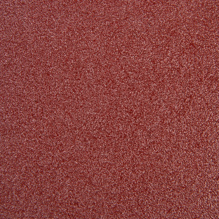 Круг абразивный шлифовальный под "липучку" ТУНДРА, 125 мм, Р80, 100 шт.