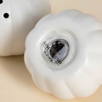 Набор для специй SL Home &laquo;Осенний бриз&raquo;, баночка 100 мл, 7&times;7&times;7 см, белый