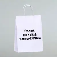 Пакет подарочный &laquo;Гуляй шальная императрица&raquo;, 24&times;14&times;28 см, 1 шт.