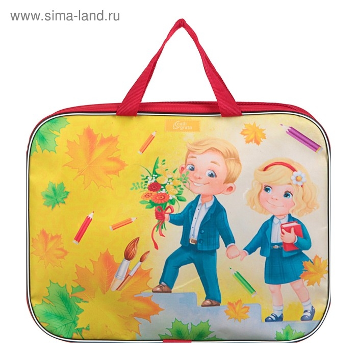 Папка с ручками текстильная, А4, 330 х 260 х 70 мм, Calligrata, &laquo;Снова в школу&raquo;