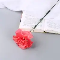 Цветы искусственные &laquo;Гвоздика экстра галант&raquo;, h=49 см, d=8 см, коралловые