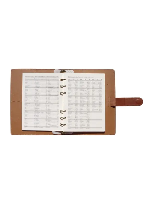 Органайзер на кольцах, C6, с хлястиком, 80л, линия, к/зам, Коричневый