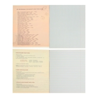 Комплект предметных тетрадей 48 листов &laquo;Металл&raquo;, 10 предметов, со справочным материалом, обложка мелованный картон, блок №2, белизна 75% (серые листы)