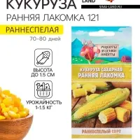 Семена Кукуруза сахарная "Ранняя лакомка 121", 5 г