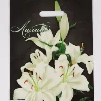 Пакет "Лилии, полиэтиленовый с вырубной ручкой 30х40 см, 60 мкм