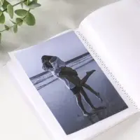 Фотоальбом 36 фото 10X15см, "Коала", ПП карм.,мягкая обложка