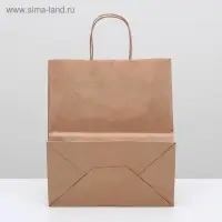 Пакет крафт без печати, круглая ручка 24&times;14&times;28 см