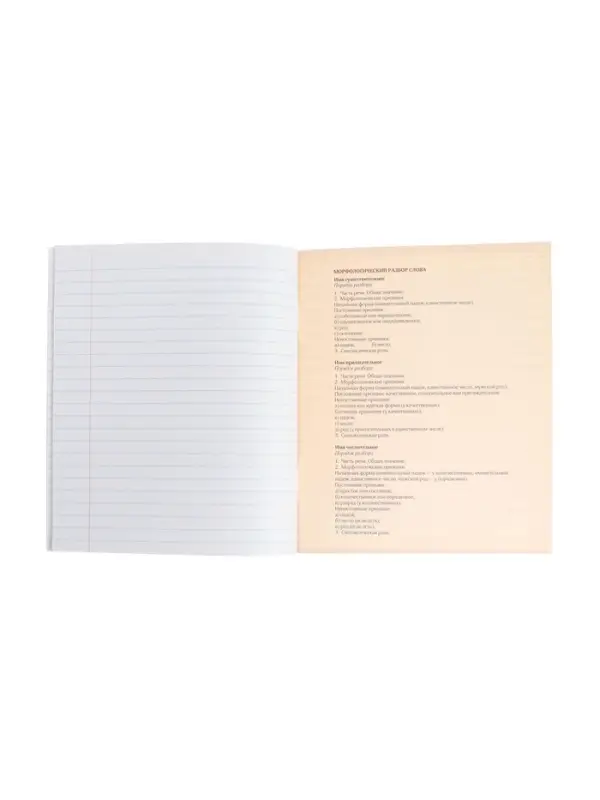 Тетрадь предметная 48 листов в клетку Calligrata, &laquo;Русский язык&raquo;, обложка мелованный картон