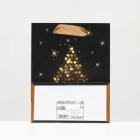 Пакет ламинированный &laquo;Золотой Merry Christmas&raquo; 11.5&times;14.5&times;6 см