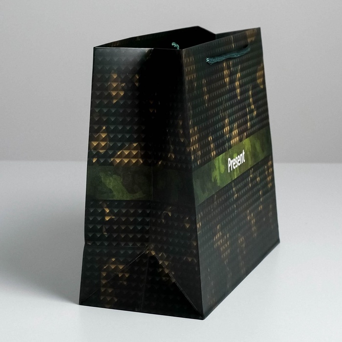 Пакет подарочный ламинированный горизонтальный, упаковка, &laquo;С 23 февраля&raquo;, ML 27 х 23 х 11.5 см