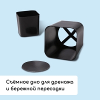 Набор для рассады: стаканы по 500 мл (10 шт.), поддон 40 &times; 19,5 см, МИКС, Greengo