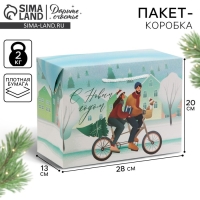 Пакет-коробка &laquo;Новый год вместе&raquo;, 28 х 20 х 13 см, Новый год