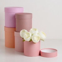 Набор шляпных коробок 5 в 1 &laquo;Крема&raquo;, 20 &times; 19,5, 15 х 15 см