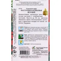Семена цветов  Настурция карлик. Везувий 8 шт