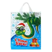 Пакет &laquo;Мордашка&raquo;, полиэтиленовый с петлевой ручкой, 28&times;35 см