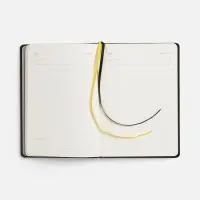 Ежедневник Alanis, недатированный, черный c желтым