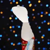 Подарочная коробка &laquo;Дед Мороз&raquo;, упаковка, 24&times;5&times;5 см