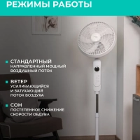 Вентилятор напольный для дома с пультом T-SF1608RC