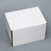 Коробка самосборная, белая, 17&times;12&times;10 см