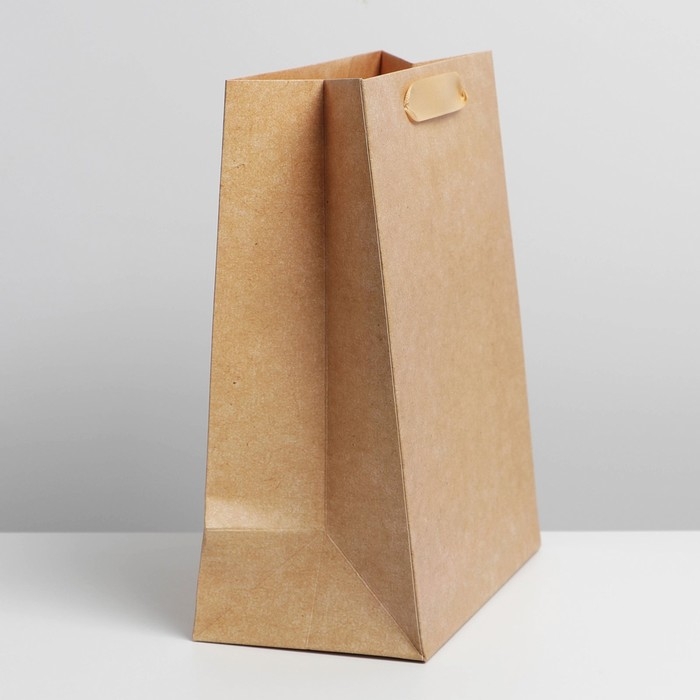 Пакет подарочный ламинированный, упаковка, &laquo;Крафтовый&raquo;, MS 18 х 23 х 10 см