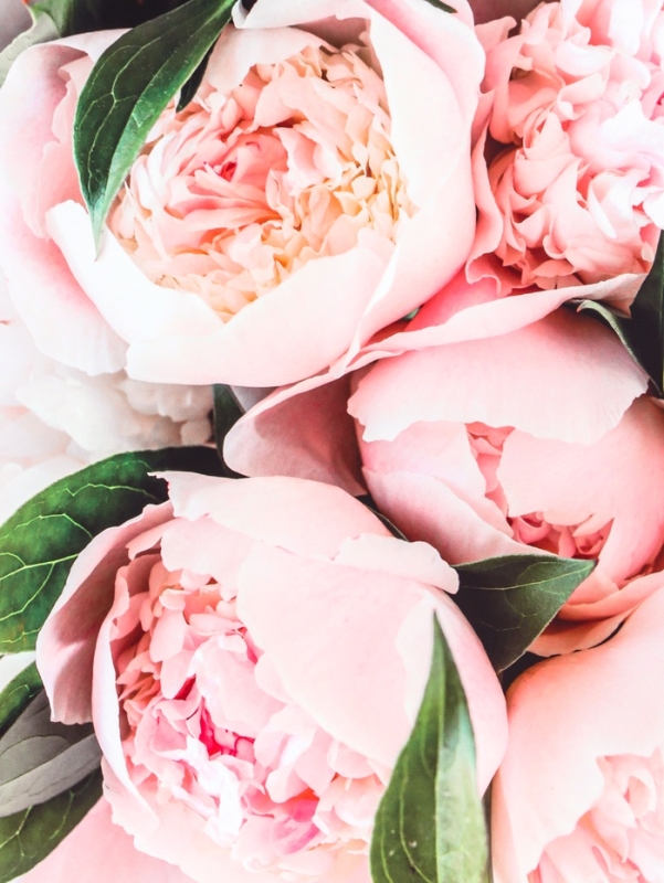 Пакет подарочный ламинированный горизонтальный &laquo;Белые бутоны&raquo;, L 40 &times; 31 &times; 14 см