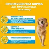 Влажный корм Pedigree для собак, говядина/ягненок в соусе, пауч, 85 г