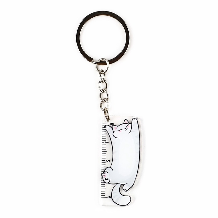 Брелок линейка для ключей &laquo;Будь всегда уверен&raquo;, 2.2 х 10 см