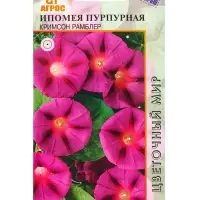 Семена Ипомея пурпурная "Кримсон Рамблер" 1 г