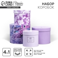 Набор шляпных коробок для цветов 4 в 1, упаковка подарочная, &laquo;Лаванда&raquo;, 14 х 13 см - 20 х 17,5 см