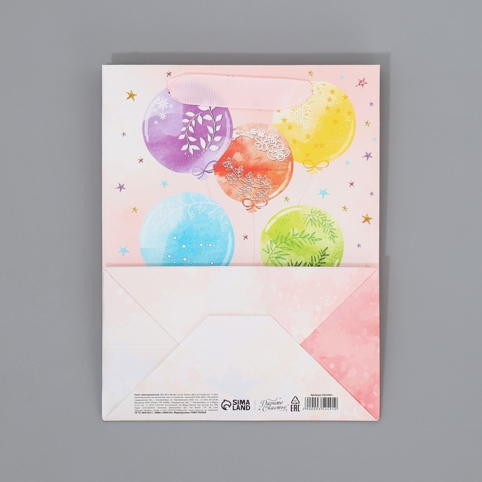 Пакет подарочный ламинированный с тишью, упаковка, &laquo;С Днём рождения&raquo;, MS 18 х 23 х 10 см