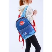 Рюкзак &laquo;Крым&raquo; Putin team, 29 x 13 x 44 см, отд на молнии, н/карман, голубой