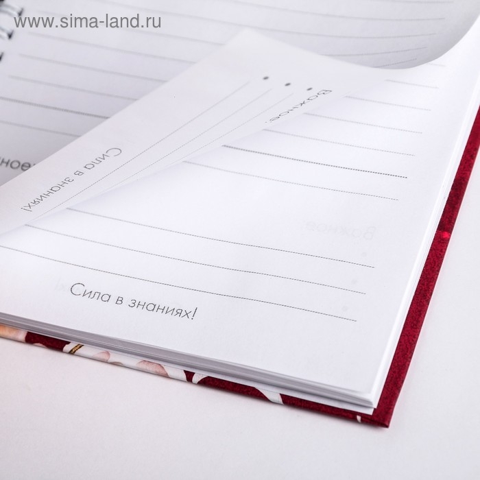 Ежедневник на гребне &laquo;Учителю: С Днем учителя&raquo;, формат А5, 60 листов