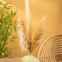 Ваза терракота "Эдесса" 28х14х20 см