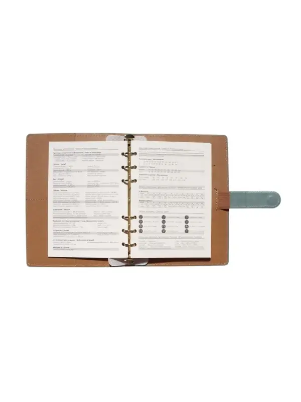 Органайзер на кольцах, C6, с хлястиком, 80л, линия, к/зам, Зеленый