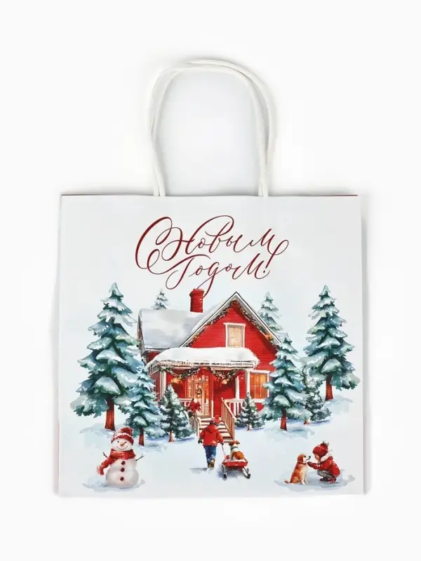 Набор пакетов крафтовых &laquo;Новогодний&raquo;, 10 шт, 22 &times; 22 &times; 11 см