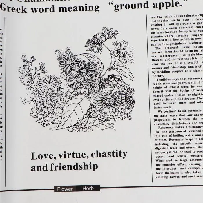 Плёнка матовая &laquo;Флористическая статья&raquo; белый, 57&times;57 см &plusmn;5% см