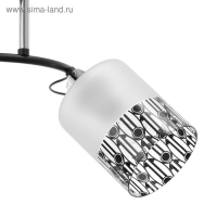 Люстра ГАЛЛОП 890521 2х60Вт Е27 черный/матовый белый с черным рисунком