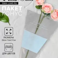 Пакет конус для цветов, с нетканым материалом, 26+7&times;37 см, голубой