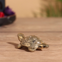 Сувенир бронза "Черепашка" 7х5х2 см