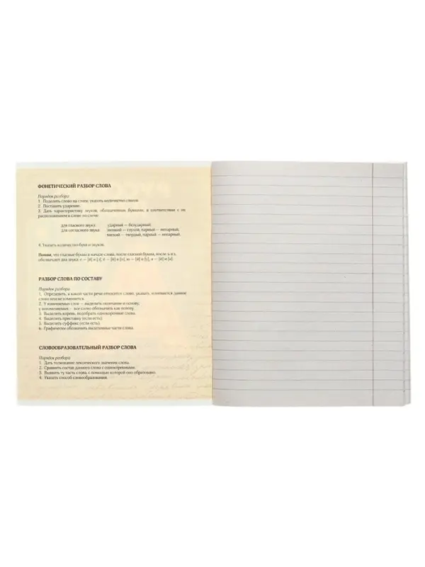 Тетрадь предметная 48 листов в линейку Calligrata &laquo;3D. Русский язык&raquo;, серые листы