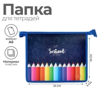 Папка для тетрадей А5, 230 х 190 х 50 мм, молния сверху, пластиковая, Calligrata "Карандаши"