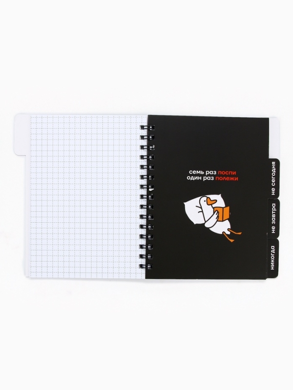 Блокнот с разделителями А6, 48 листов "Ленивый блокнот"