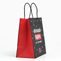 Пакет подарочный новогодний &laquo;Небольшой подарок&raquo;, 22 х 22 х 11 см , Новый год